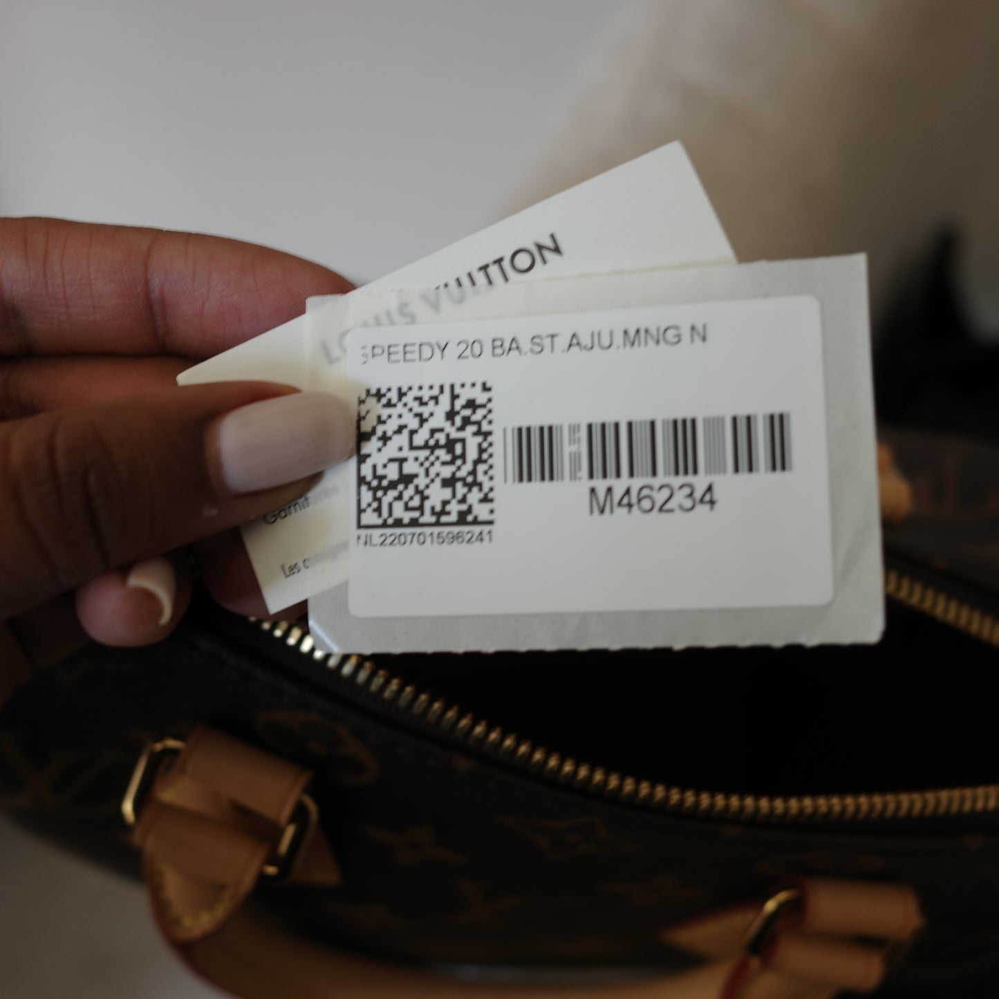 Louis Vuitton Monogram Speedy 20 (No Strap)