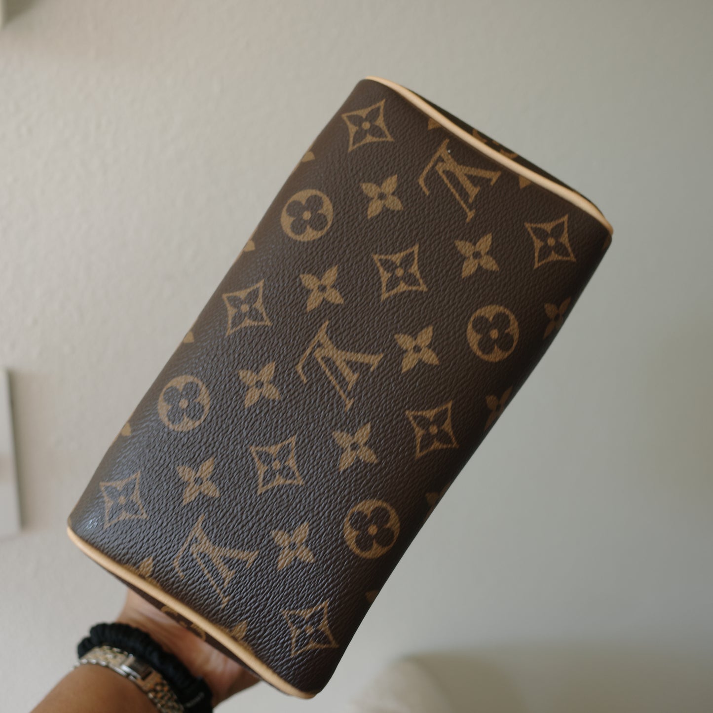 Louis Vuitton Monogram Speedy 20 (No Strap)