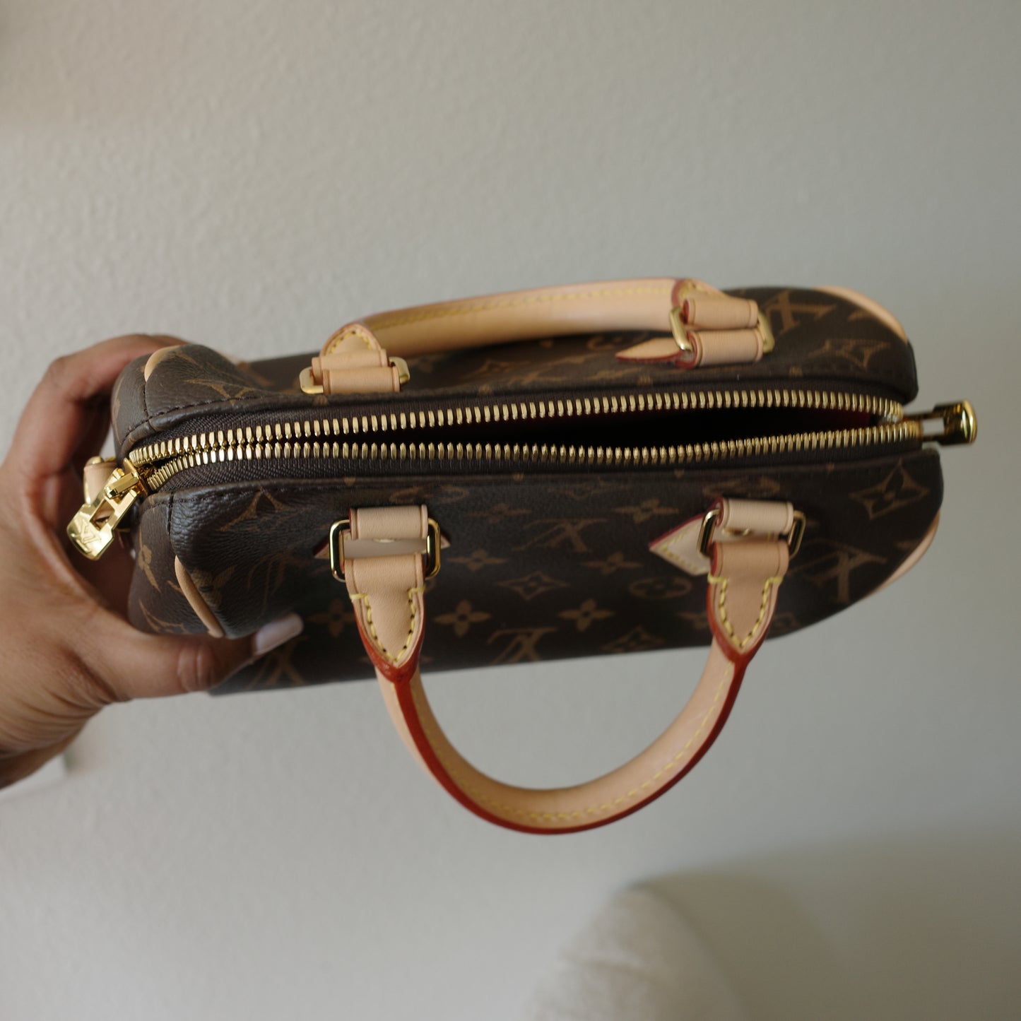 Louis Vuitton Monogram Speedy 20 (No Strap)