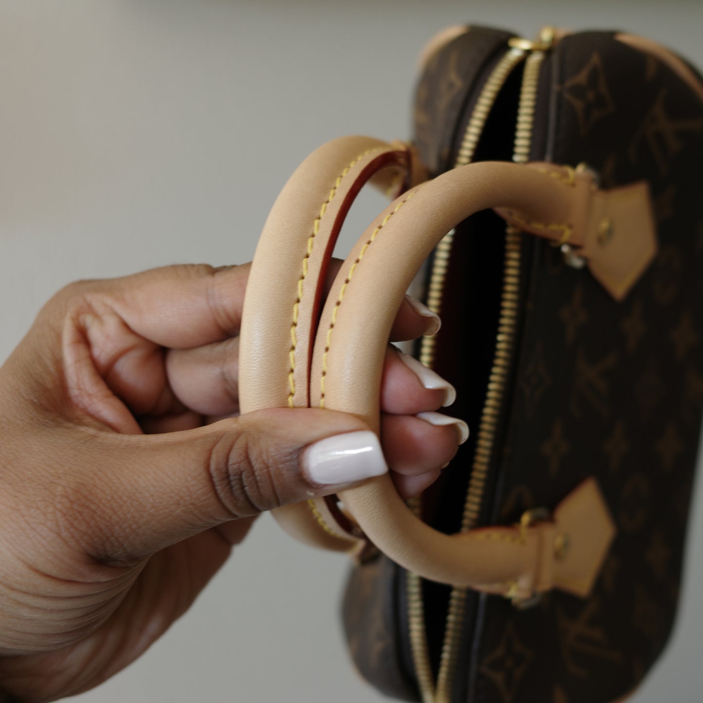 Louis Vuitton Monogram Speedy 20 (No Strap)