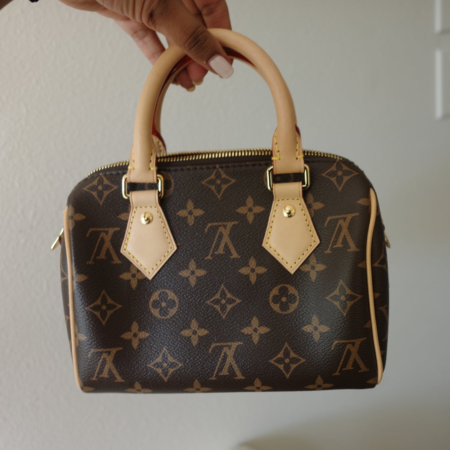 Louis Vuitton Monogram Speedy 20 (No Strap)