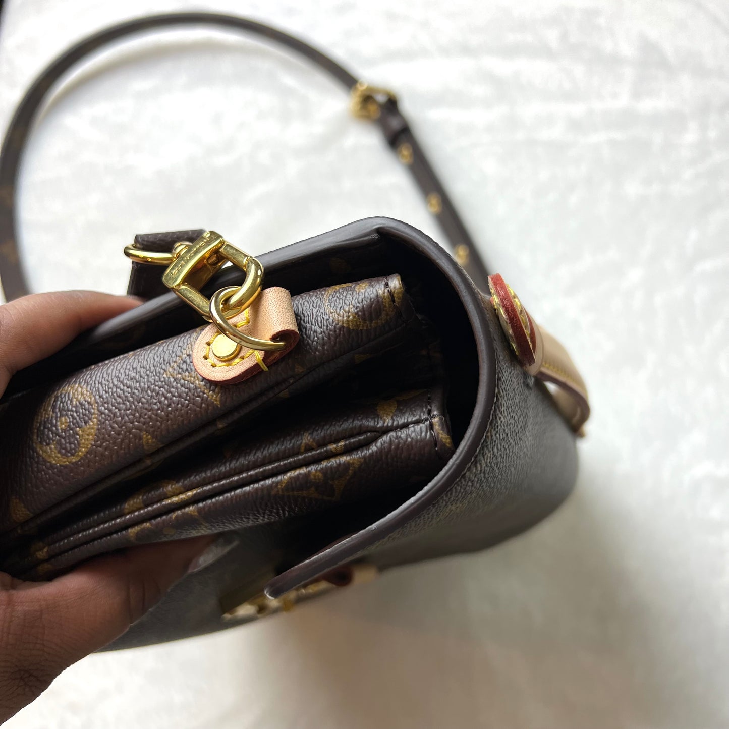 LOUIS VUITTON Monogram Pochette Metis