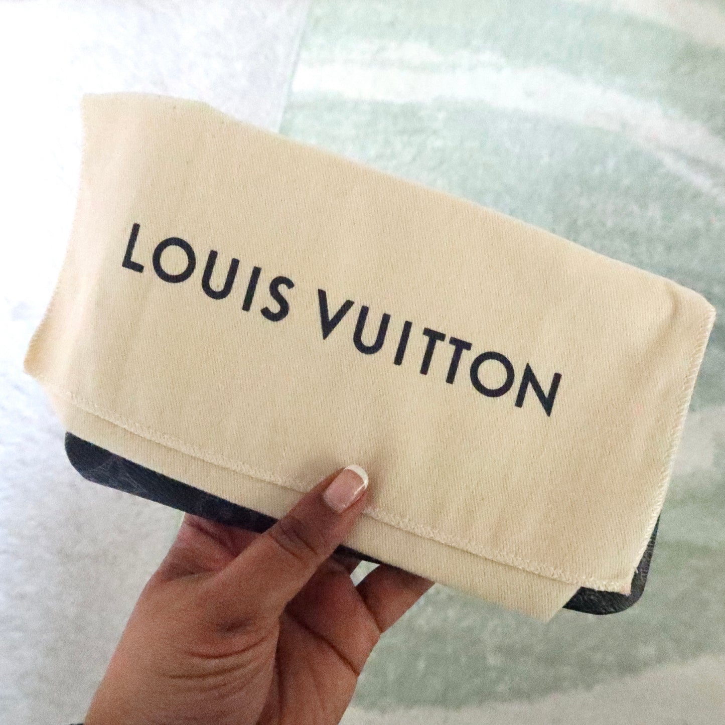LOUIS VUITTON Eclipse Vivienne Pouch